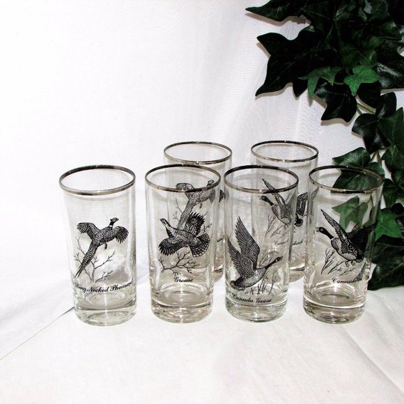 Federal Glass Sportsman 6 Vintage Water or Highball Glasses Game Birds MCM - Picture 7 of 8